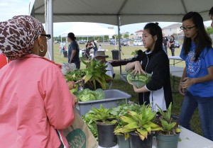 Farmer's Market at IMD Kite Festival