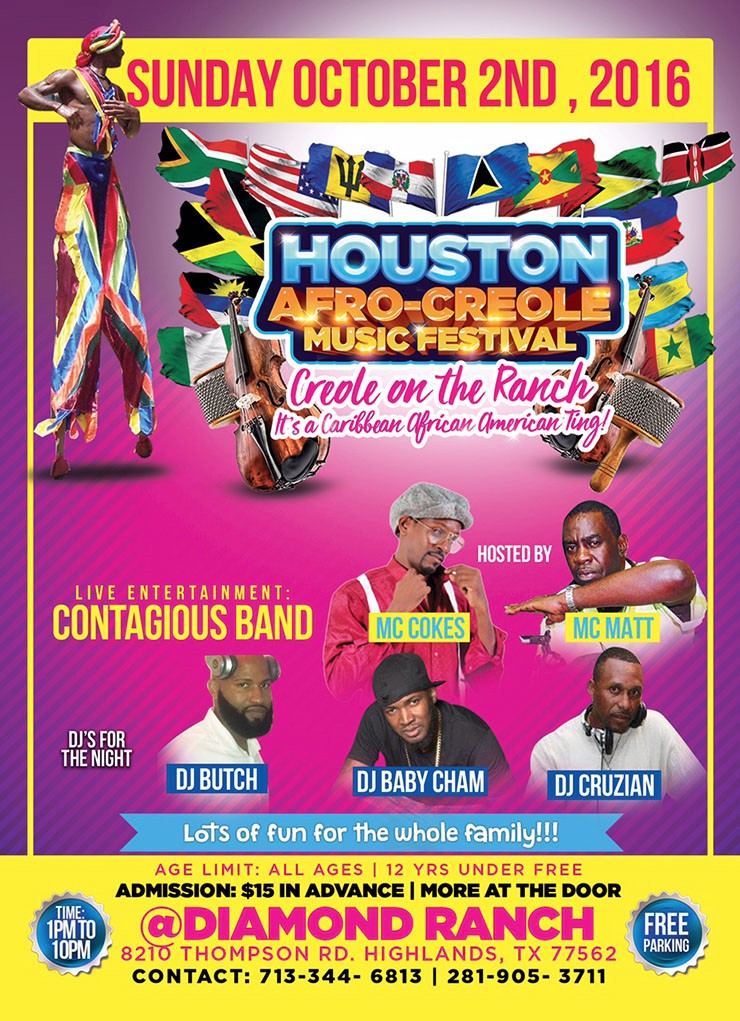 4012-houstonafro-back