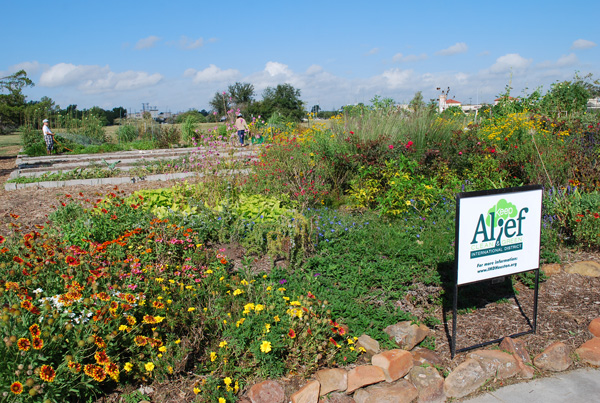 IMD-community-garden