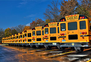 School-Bus