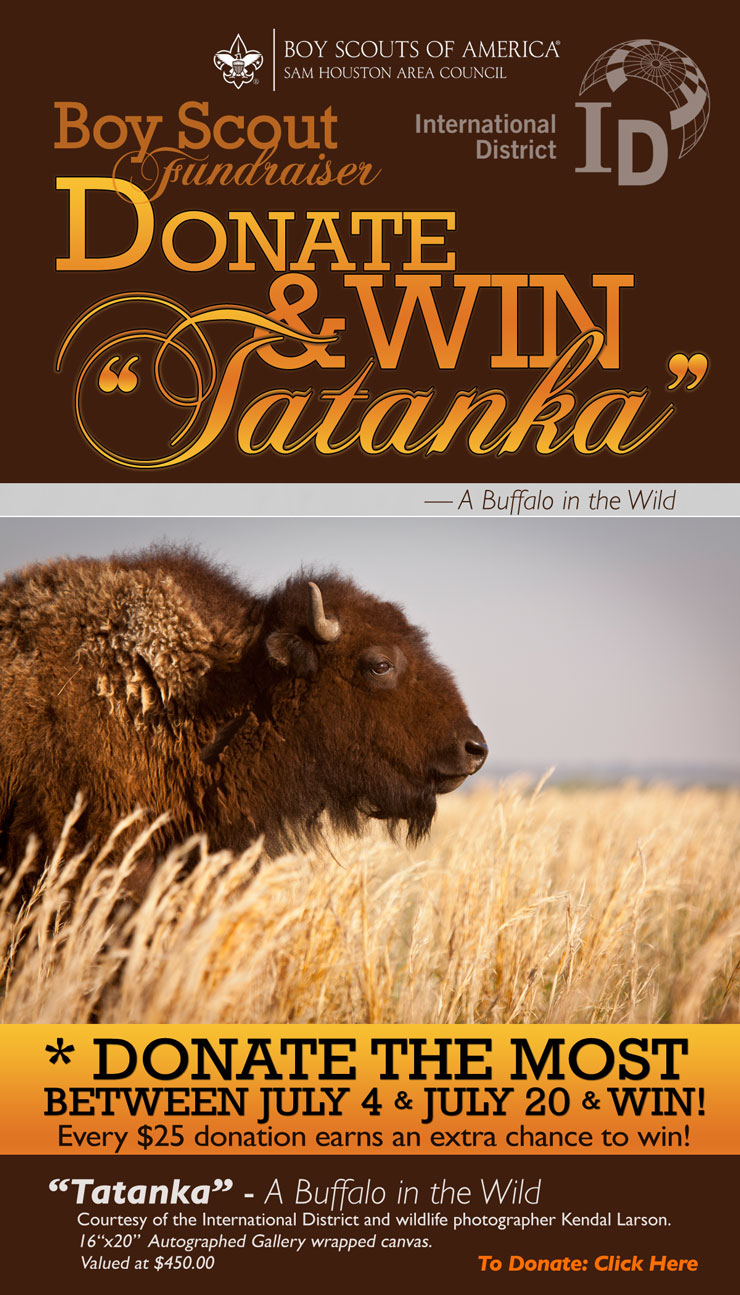 imd-boyscout-fundraiser-tatanka-web