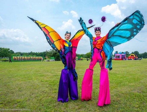 Photos & Video: IMD Kite Festival & Cigna Sunday Streets 2019