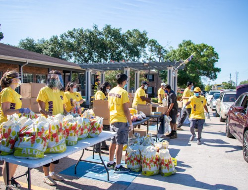 Video and Photos: IMD and SEWA Food Drive